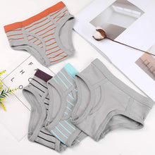 Load image into Gallery viewer, Boys Striped Briefs 4 Pack
